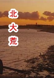 在线a欧美视频
